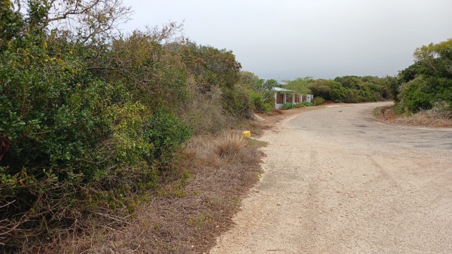 0 Bedroom Property for Sale in Merryhill Eastern Cape